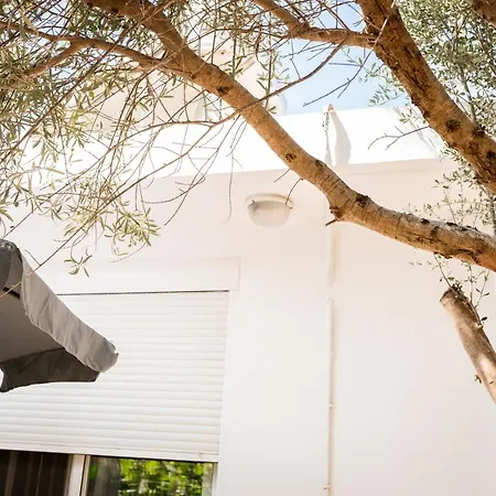 Nikitas Дом отдыха